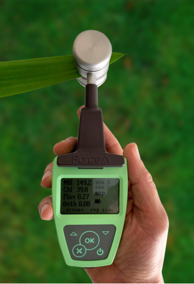 花青素叶绿素测量仪