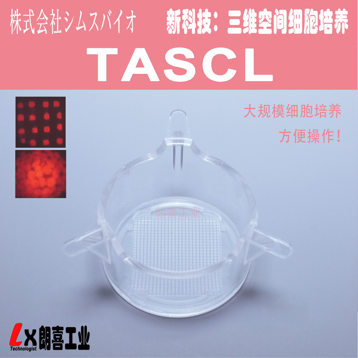 日本凯密思3D细胞培养板TASCL
