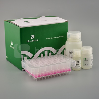 CommaXP&#174; 血清血浆游离DNA提取试剂盒(负压法,50测试)