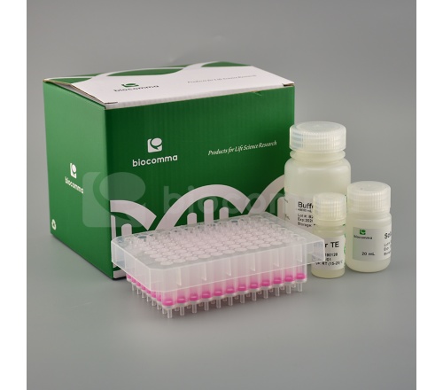 CommaXP&#174; 血清血浆游离DNA提取试剂盒(负压法,50测试)