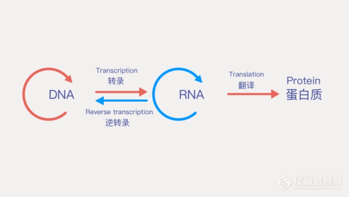 神探破案好帮手，精准医学好工具