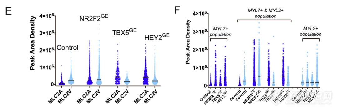 单细胞蛋白质分析技术Milo追踪定量不同iPSC-CM分化亚型