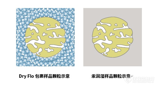 使用密度仪联用和压汞法测量片剂的密度和孔隙率