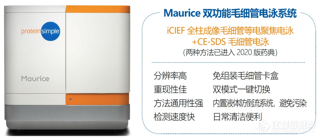 【技术速递】Maurice icIEF表征AAV完整和空壳衣壳