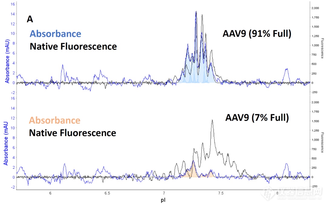 【技术速递】Maurice icIEF表征AAV完整和空壳衣壳