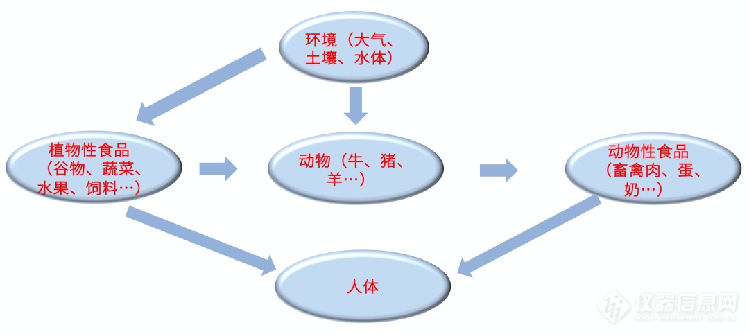 聚焦肉蛋奶安全：动物性食品中也有农药残留？