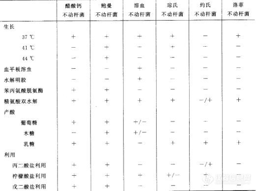 不动杆菌属的生物学特性与微生物学检查！.png