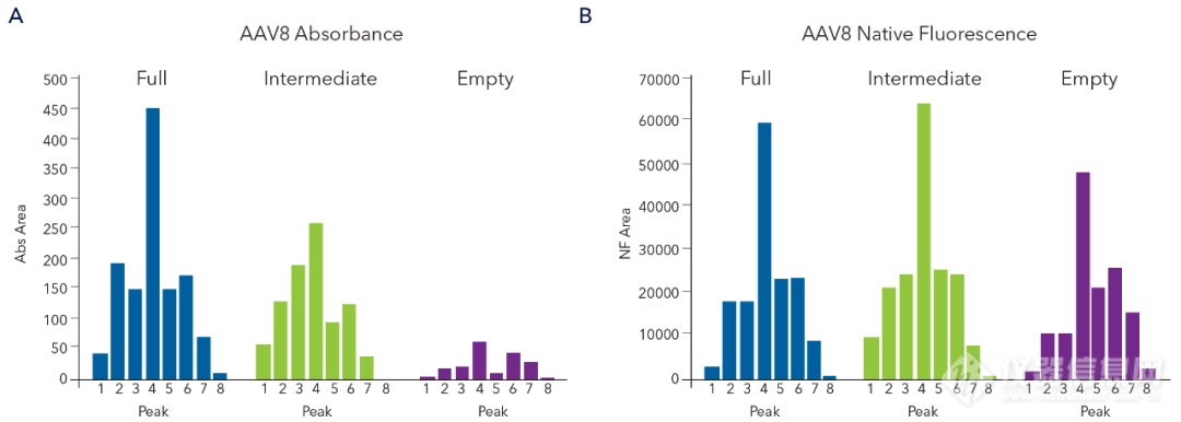 【技术速递】Maurice icIEF表征AAV完整和空壳衣壳