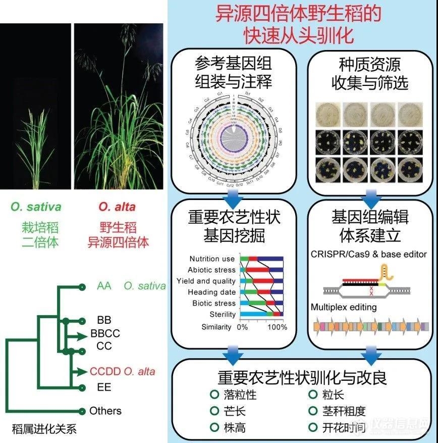 年终盘点：2021年中国科技的重大突破