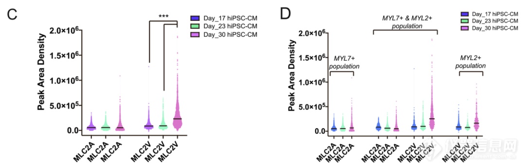 单细胞蛋白质分析技术Milo追踪定量不同iPSC-CM分化亚型