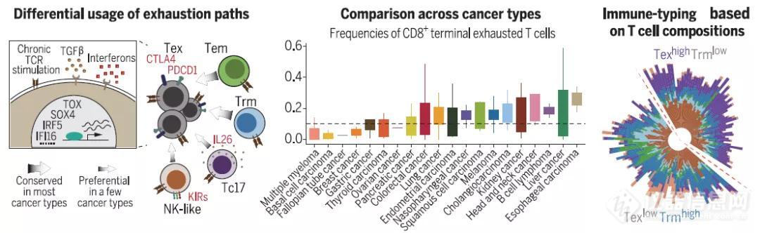 Science | 张泽民课题组与合作者发表泛癌症T细胞单细胞图谱