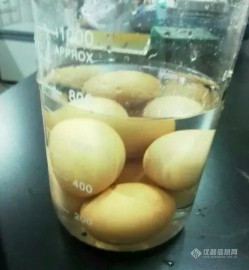 舌尖上的实验室，实验员作死烹饪行为大赏