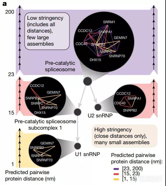 Nature | 我国科学家开发融合蛋白质图像和相互作用的细胞多尺度结构模型