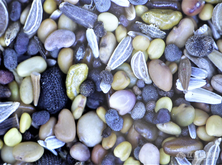 Makrolite-4k-seeds-768x572-1.jpg