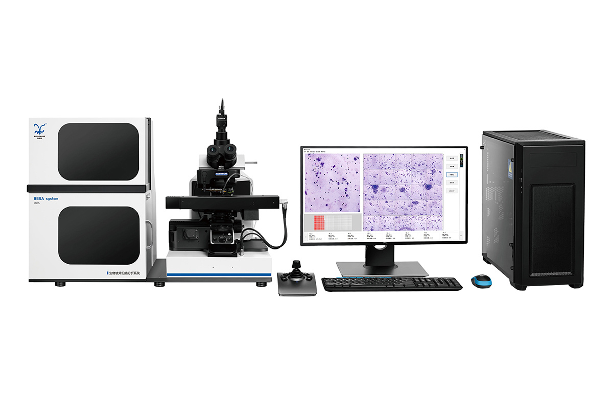 微核、染色体畸变图像自动分析系统