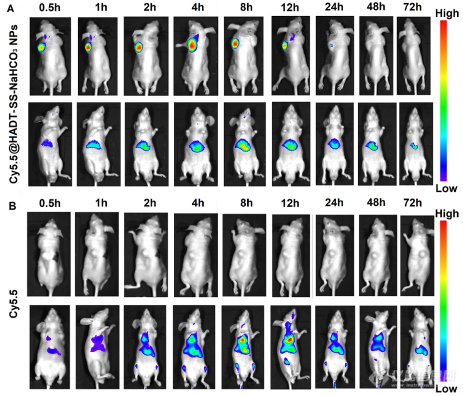 文献速递|动物活体成像系统在载药纳米超声造影剂研制中的应用