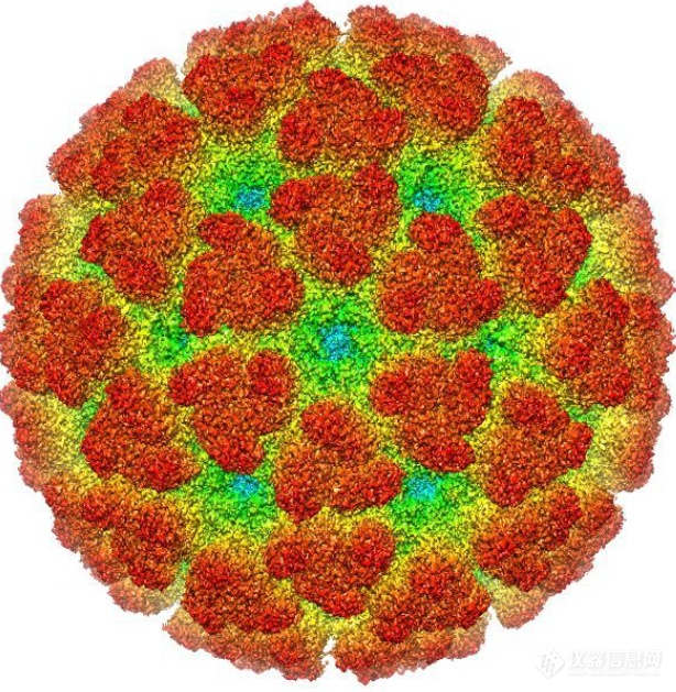 【Nature】赛多生物分析三剑客助力甲病毒受体快速发现