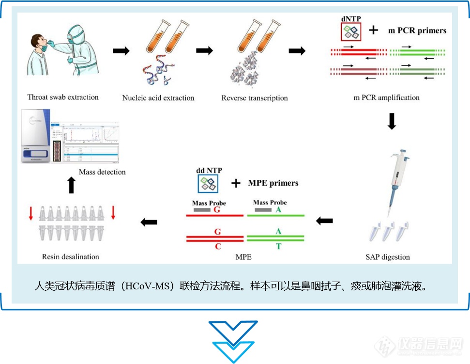 新闻速递 | 效率提升！看核酸质谱如何实现多种冠状病毒联检