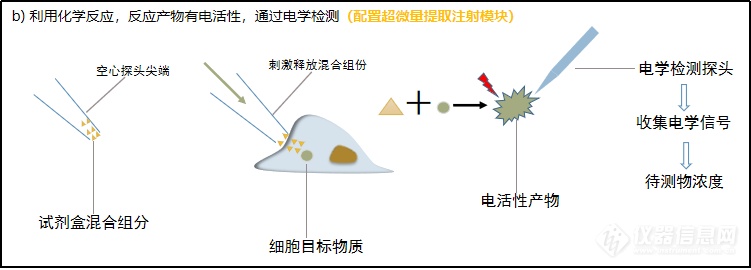 实时单细胞多模态分析仪加入PerkinElmer生命科学产品序列