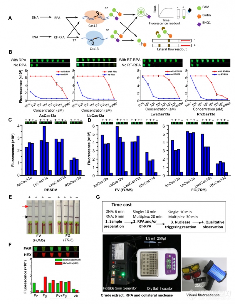 科研人员研发出4套基于CRISPR/Cas系统的病原体核酸检测工具