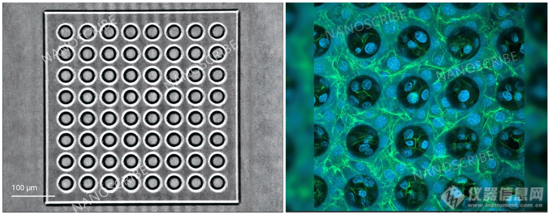 新品发布！Nanoscribe进军高精度生物打印领域