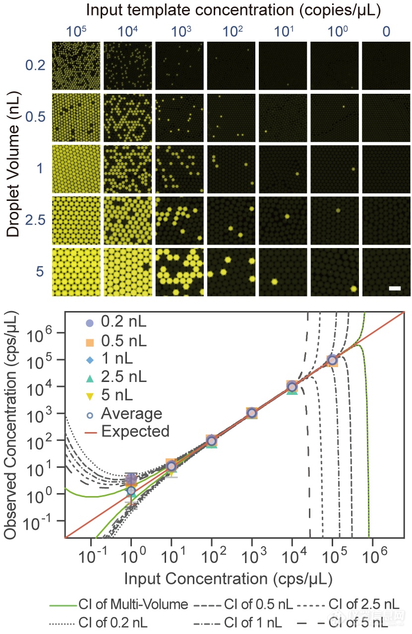 图3.  多重体积数字PCR实现跨6个数量级线性检测范围.png