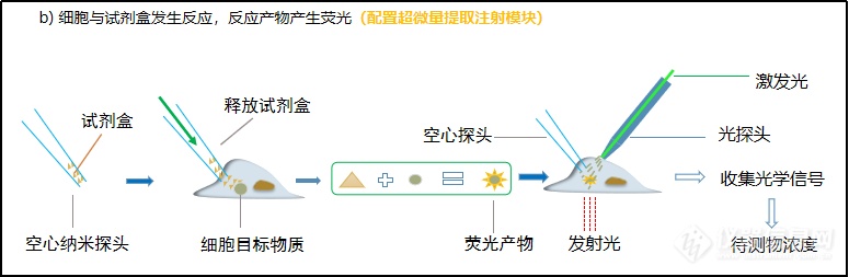 实时单细胞多模态分析仪加入PerkinElmer生命科学产品序列