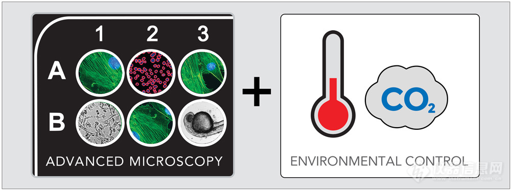 3-Advanced-microscopy_Unlimited-possibilities-1.jpg