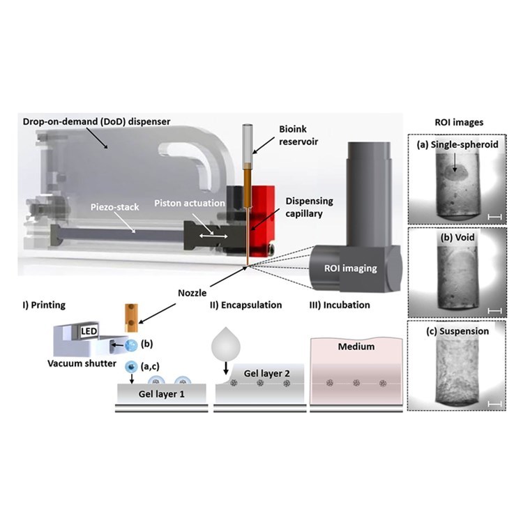 Biofluidix  PipeJet 纳升移液器 非接触移液