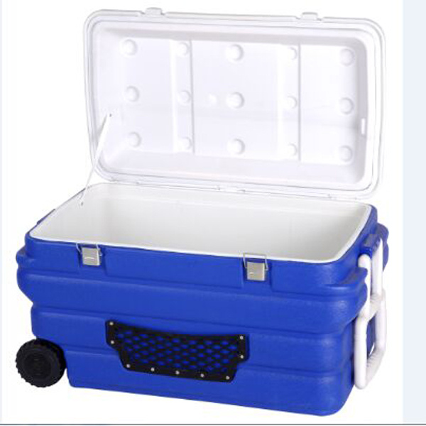 齐冰生物安全运输箱QBLL090
