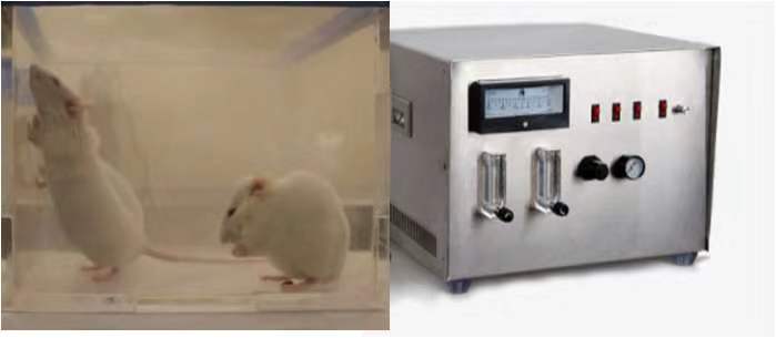 动物间歇低氧实验装置