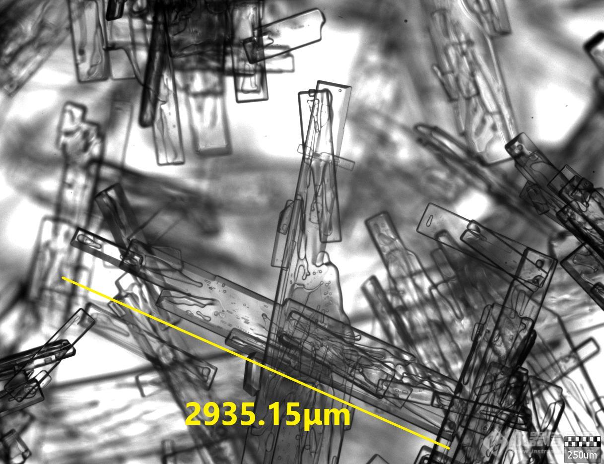 PCM棒状结晶2935.15微米-美化(1).jpg