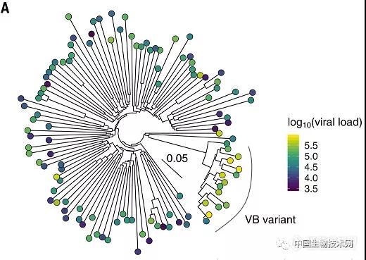 Science：HIV变异毒株已出现，毒力更强、更具传染性...