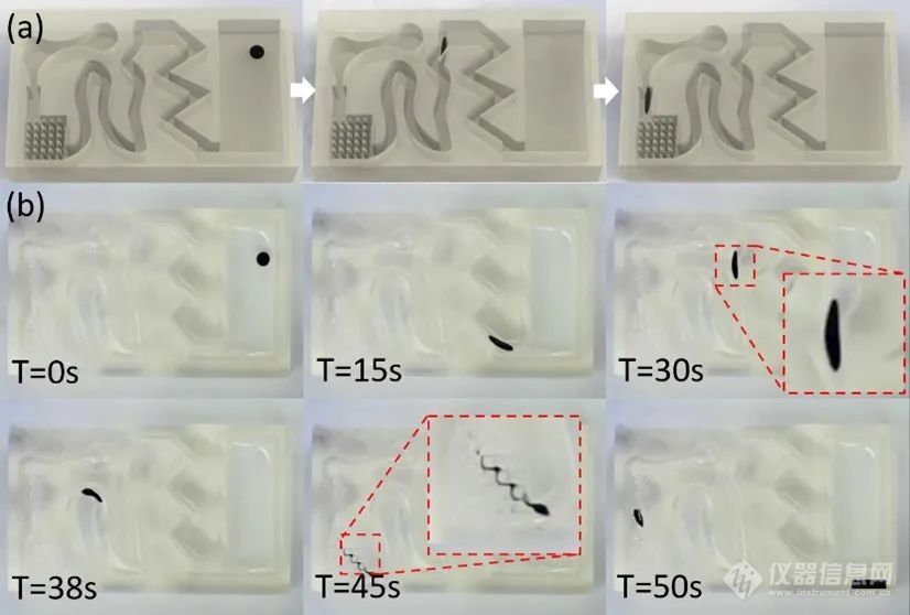 北航冯林课题组《Journal of Applied Physics》：具有全方位自适应移动性的可变形磁流体微型机器人