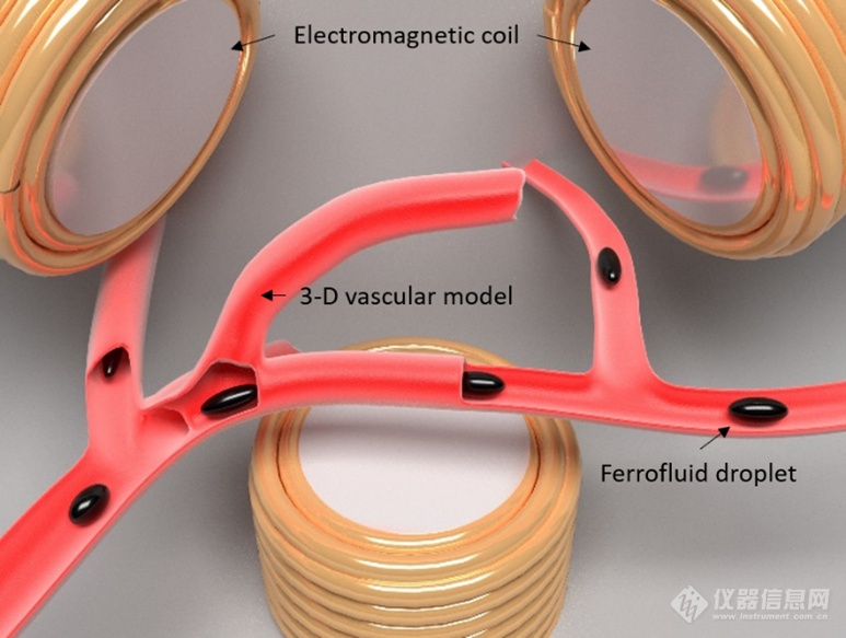 北航冯林课题组《Journal of Applied Physics》：具有全方位自适应移动性的可变形磁流体微型机器人