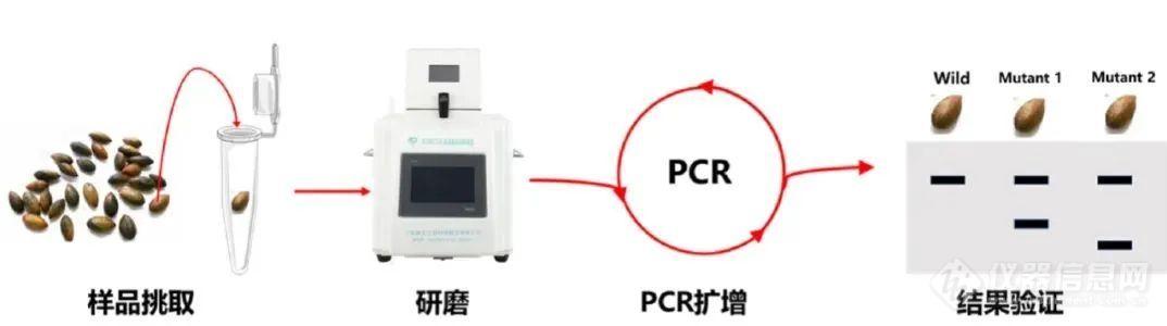  新芝仪器&植物(作物)种子实验室仪器设备