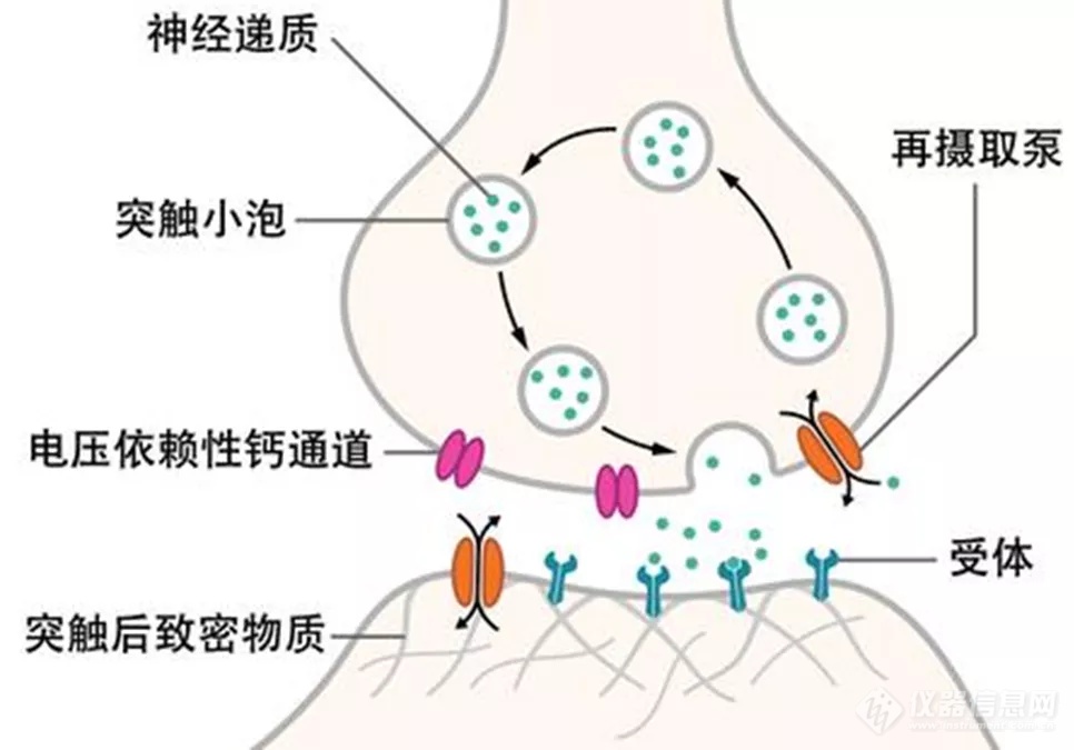 光纤记录详解，一文带你详细了解光纤记录实验