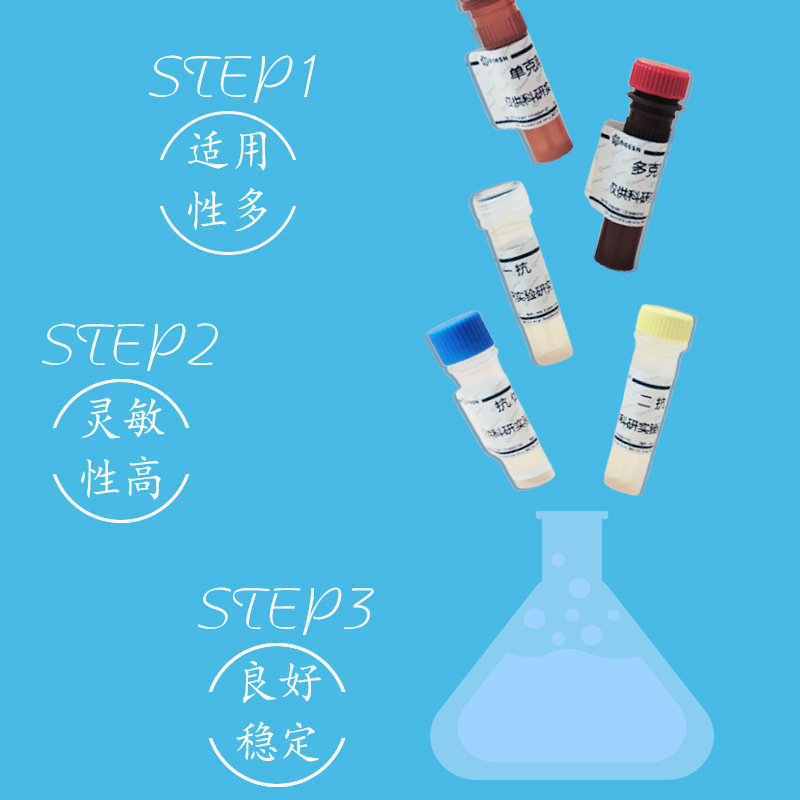 Chromogranin-A(C-term)