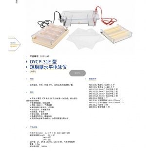 北京辙辕DYCP-31E型琼脂糖水平电泳仪（中号）