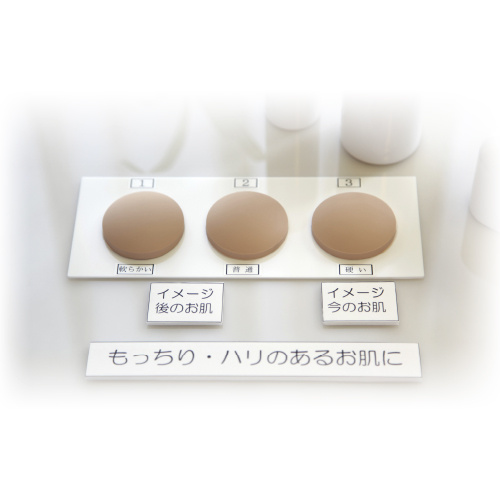 日本Beaulax Bioskin人工皮肤弹性模型