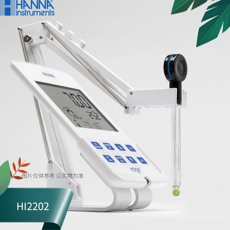 HI2202意大利哈纳HANNA蓝牙PH测定仪