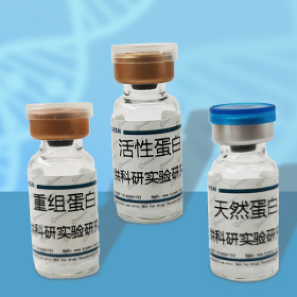 Influenza A H6N2 (A/chicken/Guangdong/C273/2011)HA1 Protein