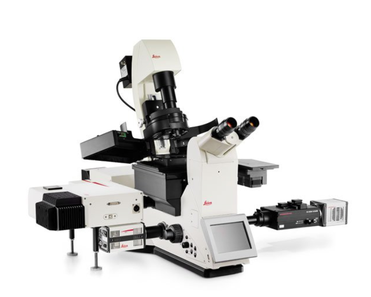 倒置显微镜（含CCD成像系统及荧光系统）