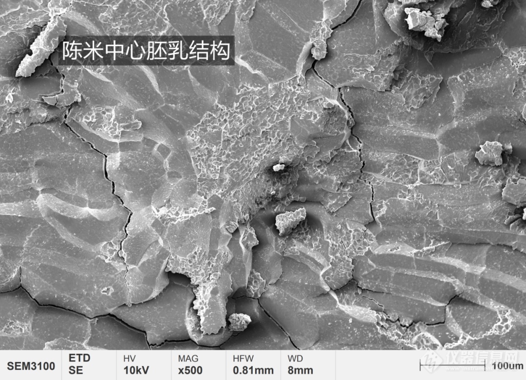 国仪量子看-今天带你用扫描电镜看人类超重要能量来源