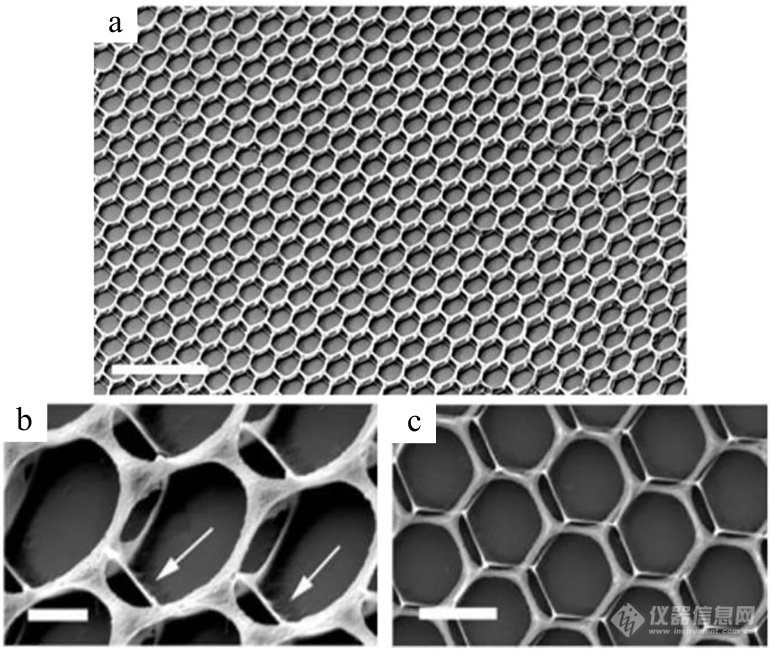 高分子表征技术专题——扫描电镜技术在高分子表征研究中的应用