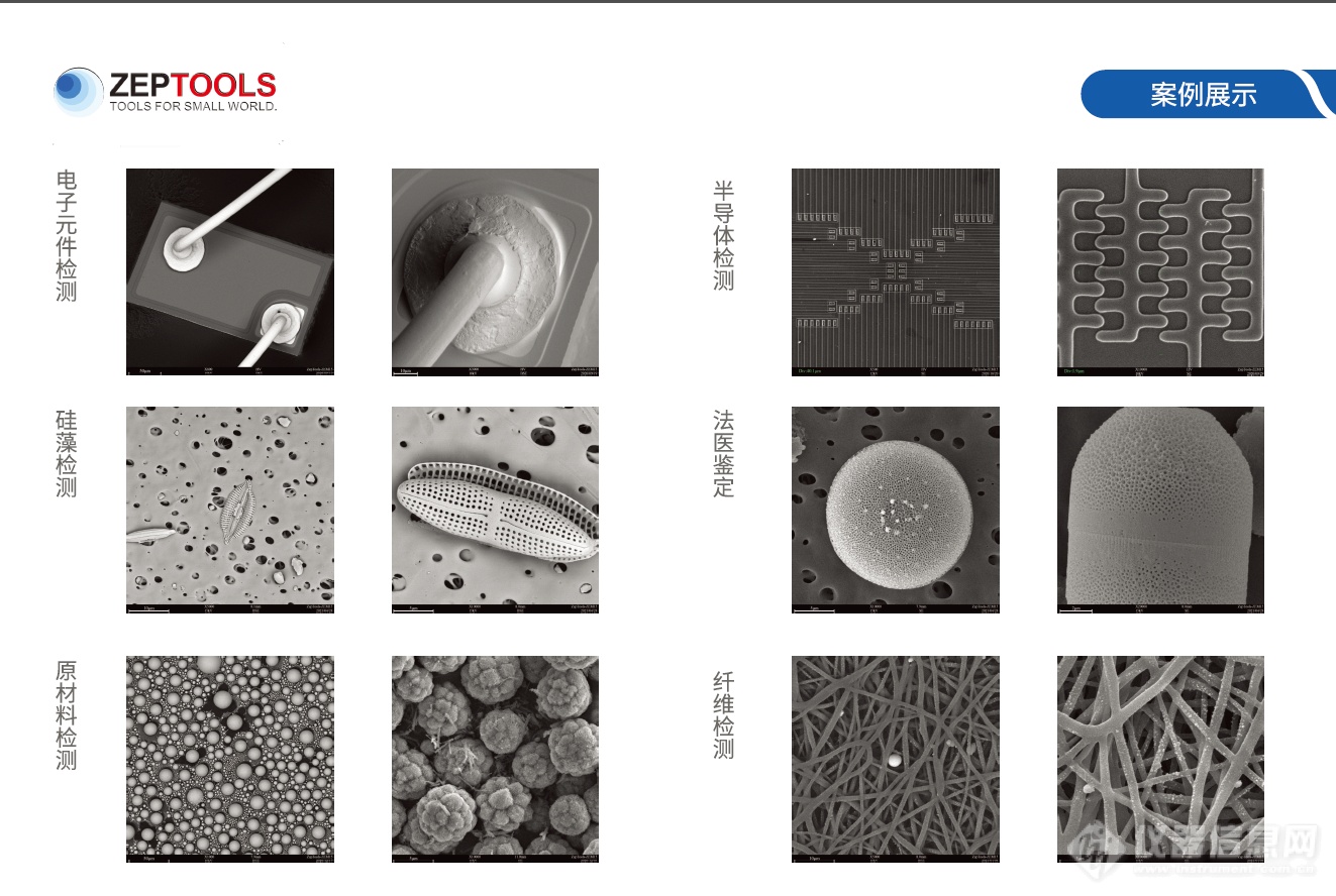 台式扫描电镜应用案例