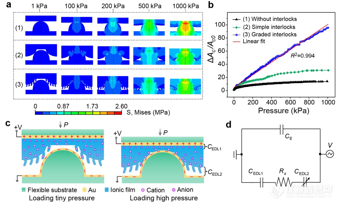 南方科技大学《ACS Nano》：通过分级互锁结构设计获得高灵敏和宽线性传感的柔性压力传感器