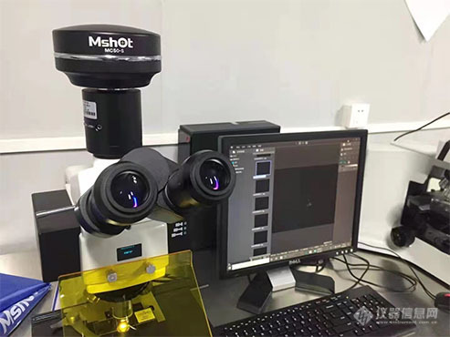 明美荧光显微镜用于弱荧光细胞观察