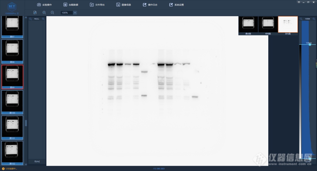 Western blot 撤稿主要原因有哪些？怎样才能避免？