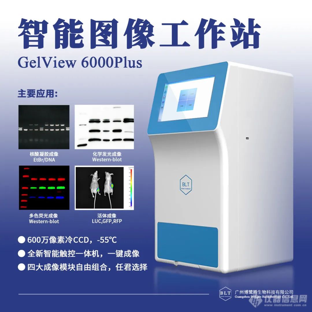 Western blot 撤稿主要原因有哪些？怎样才能避免？